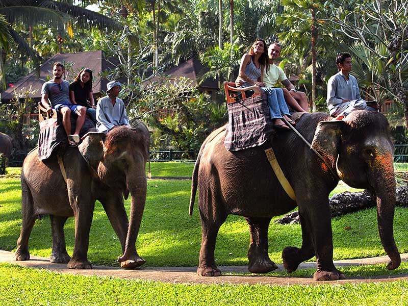 Ayung White rafting – Elephant Ride – Ubud Market